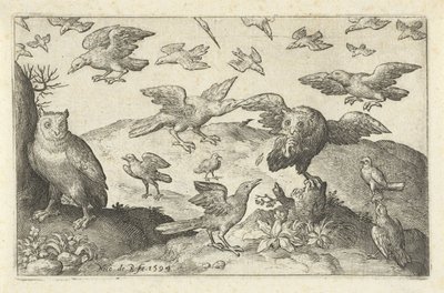 Ugle med bytte forfanget af andre fugle Fugle og insekter (serietitel) af Nicolaes de Bruyn