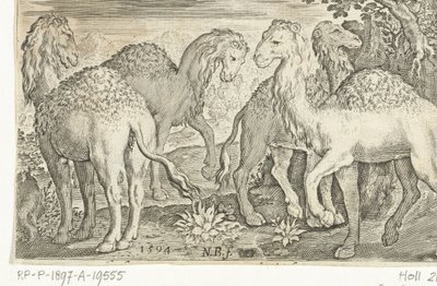 Fire dromedarer Animalivm qvadrvpedvm (serietitel) Dyr i landskaber (serietitel) af Nicolaes de Bruyn