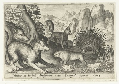 Vildsvin, ræve, bæver, pindsvin og frøer Animalivm qvadrvpedvm (serietitel) Dyr i landskaber (serietitel) af Nicolaes de Bruyn