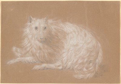 En liggende langhåret hund af Nicolai Abildgaard