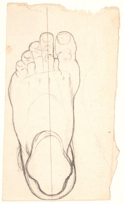 Skitse af en fod set fra oven. Hælen t.v. af Nicolai Abildgaard