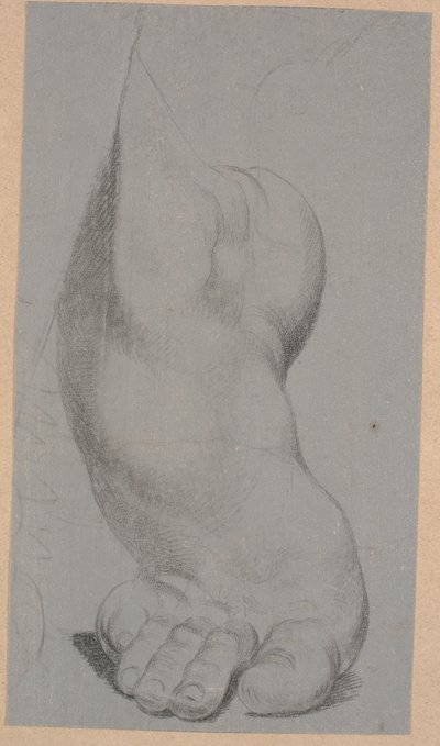 Studie af en fod af Nicolai Abildgaard