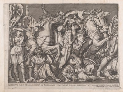 Mirror of Roman Magnificence: Battle of the Amazons, 1559., 1559. af Nicolas Beatrizet