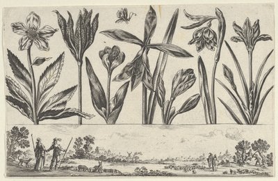 Vandret panel med en række blomster over en frise med figurer i et landskab, fra Li..., 1645. af Nicolas Cochin