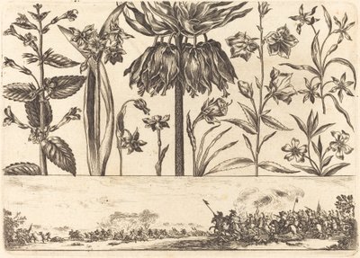 Blomstertryk nr.10 af Nicolas Cochin after Balthasar Moncornet