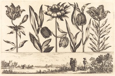 Blomstertryk nr.11 af Nicolas Cochin after Balthasar Moncornet