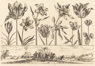 Blomstertryk nr.2 af Nicolas Cochin after Balthasar Moncornet