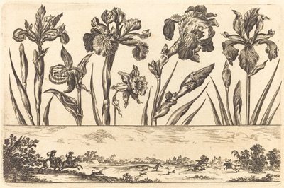 Blomstertryk nr.3 af Nicolas Cochin after Balthasar Moncornet