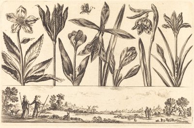 Blomstertryk nr.4 af Nicolas Cochin after Balthasar Moncornet