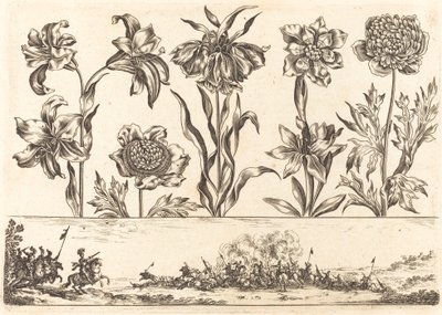 Blomstertryk nr.8 af Nicolas Cochin after Balthasar Moncornet