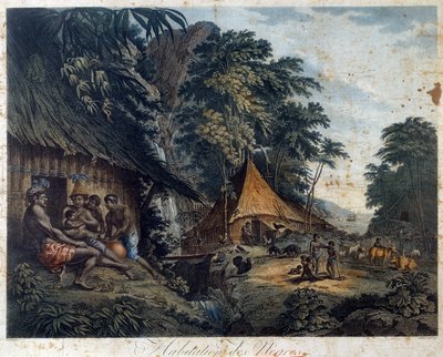 Den sortes hjem af Nicolas Colibert