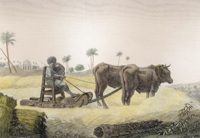Harvesting Corn, fra bind II Arts and Trades af 