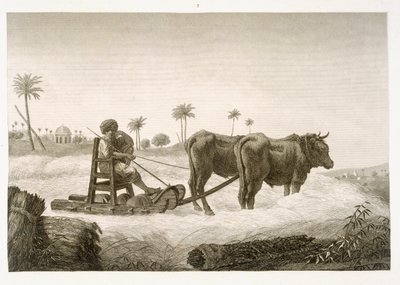 Harvesting Corn, fra bind II Arts and Trades af 