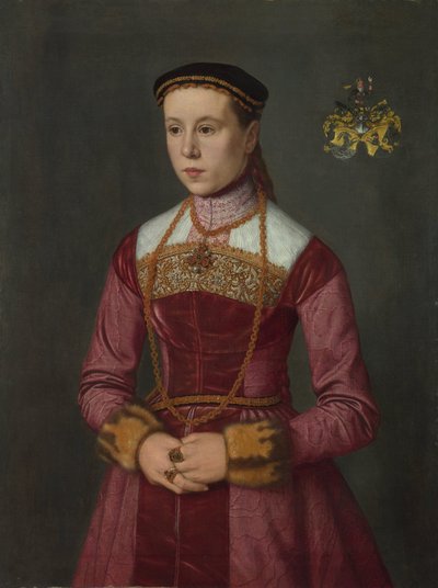 Portræt af en ung dame af Nicolas Neufchatel