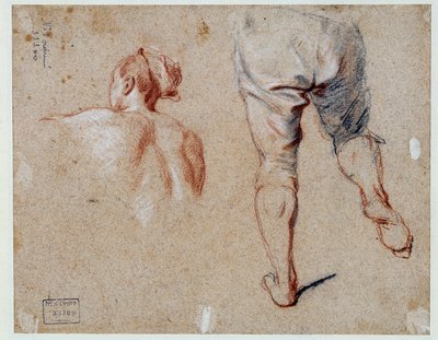 Studie af anatomi Olietegning af Nicolas Vleughels (1668-1737) 1700-tallets Paris, Louvre-museet af Nicolas Vleughels