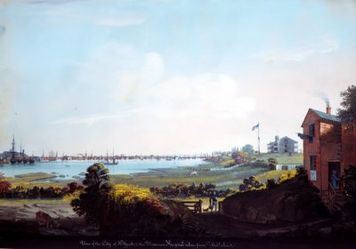 Udsigt over byen New York og Marine Hospital taget fra Wallabout. af Nicolino Calyo