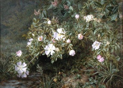 En undersøgelse af hunderoser, ca. 1900 (olie på lærred) af Niels Pieter Rasmussen