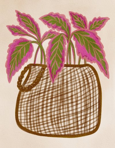Farverig potteplante af Nikita Jariwala