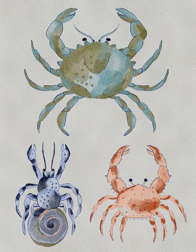 Havkrabber – akvarel af Nikita Jariwala