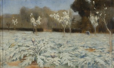 Artiskokker, Hyeres af Norman Garstin