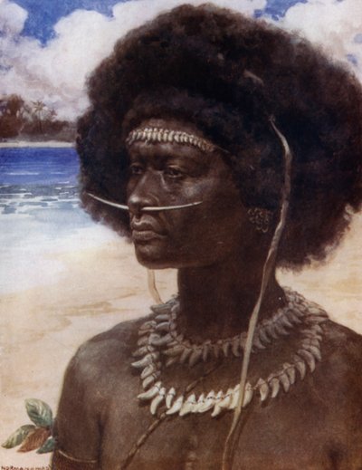 En New Guinea Dandy (farve litho) af Norman Hardy