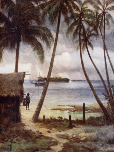 En stormfuld dag i Rubiana Lagoon, Salomonøerne (farve litho) af Norman Hardy