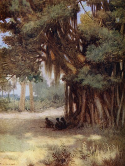 Beneath a Banyan Tree, Malekula Island, New Hebrides (farvefotos) af Norman Hardy