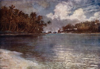 Af Reef og Palm (farve litho) af Norman Hardy