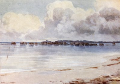 Marine Village, Tupusuli, Britisk Ny Guinea (farve litho) af Norman Hardy