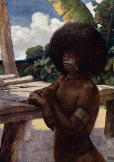 Indfødt i Britisk Ny Guinea, viser måden at bære håret på (farve litho) af Norman Hardy