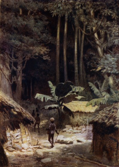 I udkanten af en urskov, Salomonøerne (farve litho) af Norman Hardy