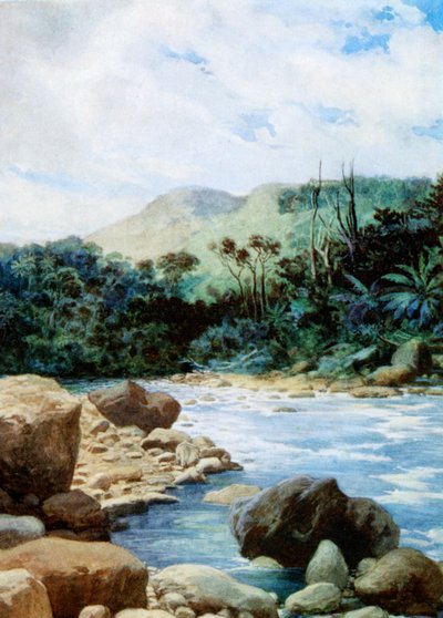 Landskab i Eromanga, New Hebrides, 1908 af Norman Hardy