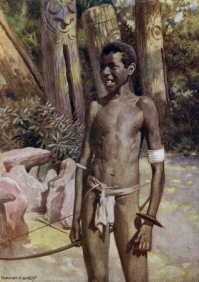 Kunstnervejledningen om Malekula, New Hebrides (farve litho) af Norman Hardy