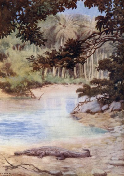 Krokodillens hjem, Britiske Salomonøer (farve litho) af Norman Hardy