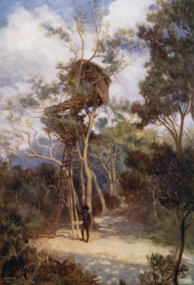 Træhus i Britisk Ny Guinea (farve litho) af Norman Hardy