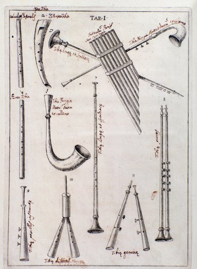 Wind instruments Page from “” de Tribus Generibus Instrumentorum Musicae Veterum ”” work about old instruments by Francesco Bianchinidani af Northern Italian School