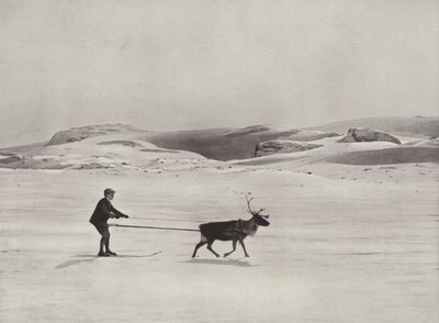 Ski-kørsel med rensdyr på bjergene af Norwegian Photographer
