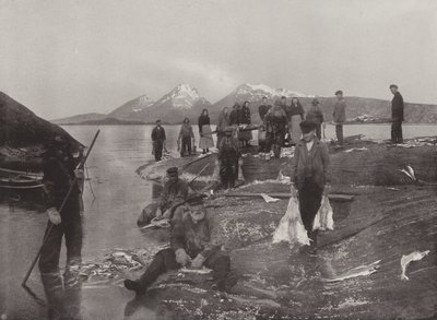 Vask af Klip-fisk af Norwegian Photographer