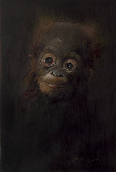 Baby orangutang 1, 2009 (akryl på træ) af Odile Kidd