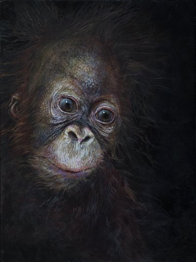Baby orangutang 3, 2015 (akryl på træ) af Odile Kidd