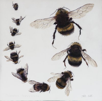 Bombus, 2015 (akryl på gessobehandlet træ) af Odile Kidd