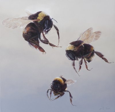 Bombus flight 1, 2011 (akryl på træ) af Odile Kidd
