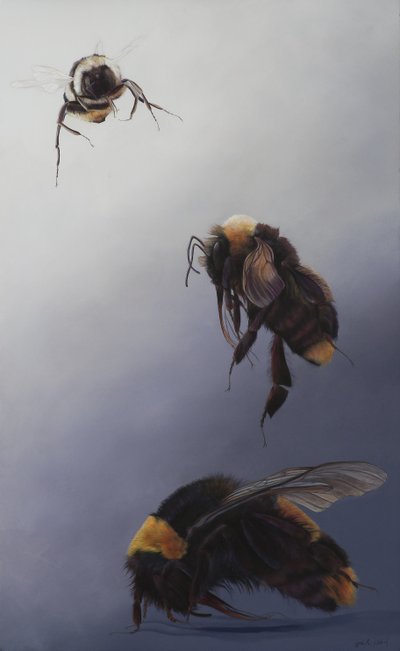 Bombus flight 2, 2011 (akryl på træ) af Odile Kidd