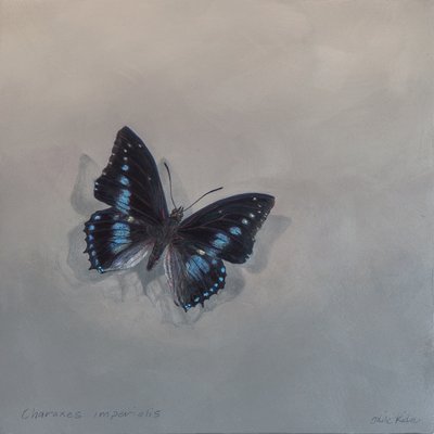 Charaxes imperialis 1 (a), 2014 (akryl på træ) af Odile Kidd