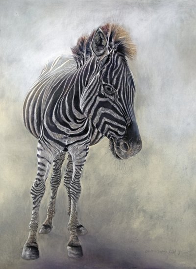Equus burchelli 1, 2009 (kul, conte og kridtpastel på Bockingford-papir) af Odile Kidd