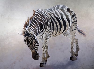 Equus burchelli 2, 2010 (akryl på lærred) af Odile Kidd