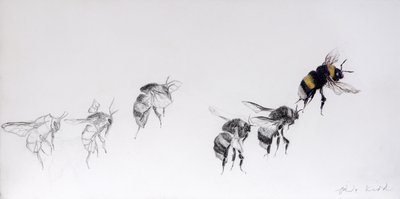 Flight pattern, 2014 (blyant, akryl på gessobehandlet træ) af Odile Kidd