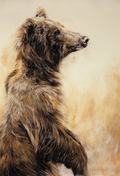 Grizzly Bear 2, 2002 (kulblyant, trækul og kridt) af Odile Kidd