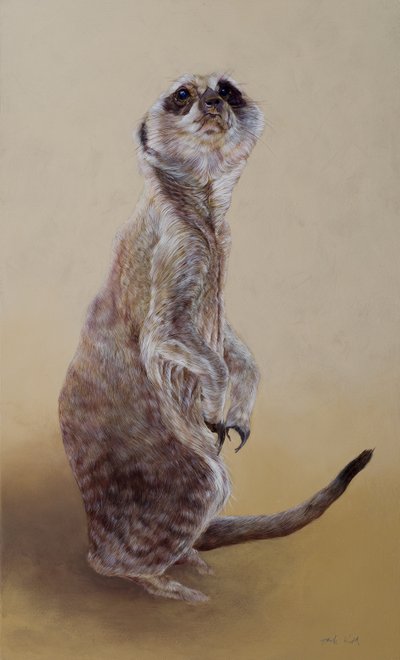 Meerkat 2, 2010 (akryl på træ) af Odile Kidd