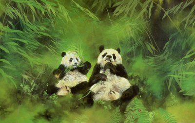 Pandaer af Odile Kidd